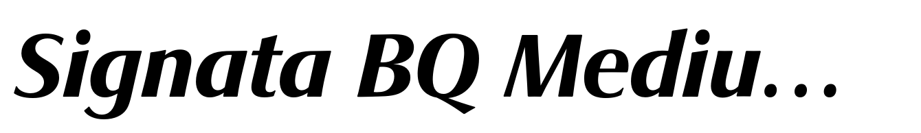 Signata BQ Medium Italic